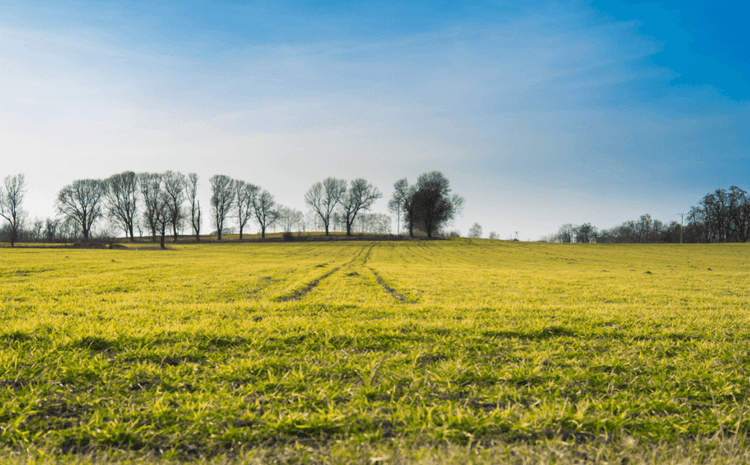 Consórcio para comprar um terreno com valorização no mercado