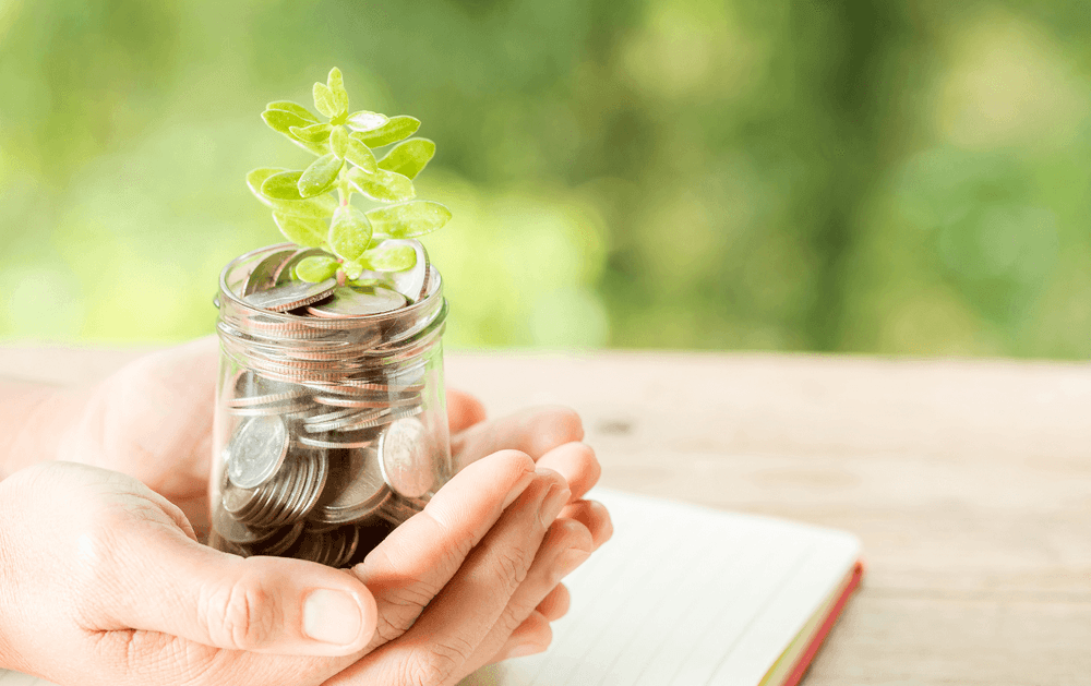 Consórcio ou financiamento: qual a melhor opção de crédito?